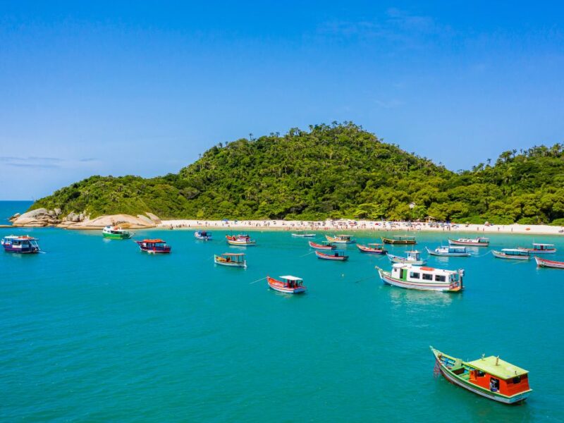 Ilha do Campeche Passeio