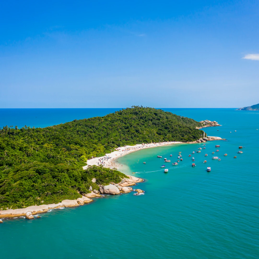 Ilha do Campeche em Florianópolis: saiba como chegar, descubra o que fazer e conheça um dos cenários mais preservados da Ilha da Magia.