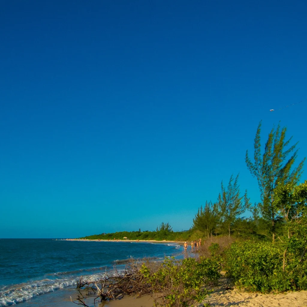 Praia da Daniela Floripa
